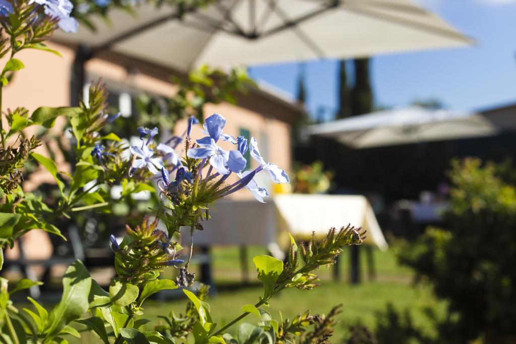 Agriturismo Ferruggini Bolgheri Exterior photo