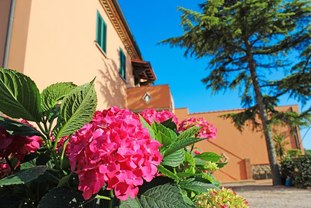 Agriturismo Ferruggini Bolgheri Exterior photo